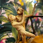 Tropical Vibes In The Of Tribes Σπίτι διακοπών