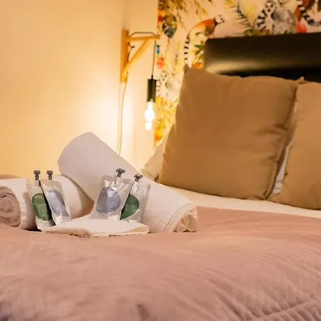 Tropical Vibes In The Of Tribes