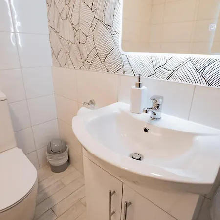 Tropical Vibes In The Of Tribes