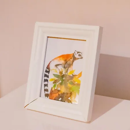 別荘 Tropical Vibes In The Of Tribes ゴールウェイ