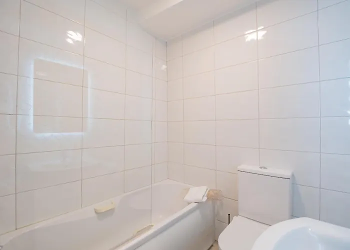 Tropical Vibes In The Of Tribes * 골웨이