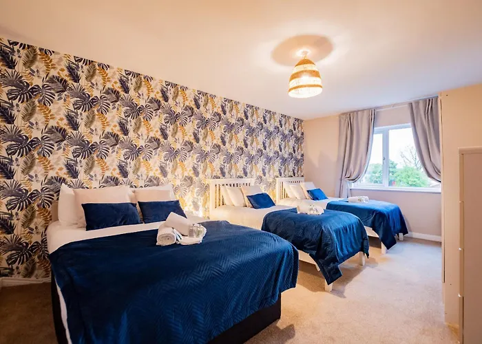 Tropical Vibes In The Of Tribes 펜션 골웨이